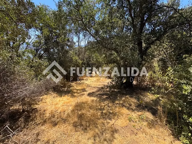 Sitio en venta en Paine