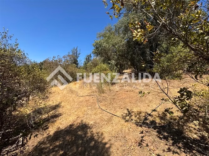 Sitio en venta en Paine