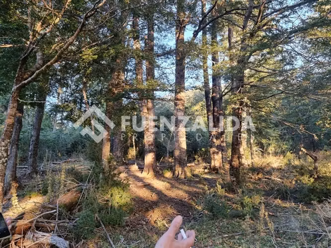 Sitio en venta en Pucón