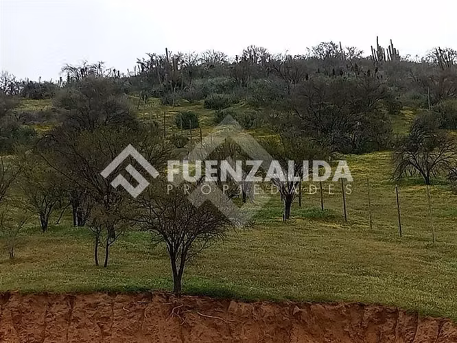 Sitio en venta en Curacaví - Imagen 4