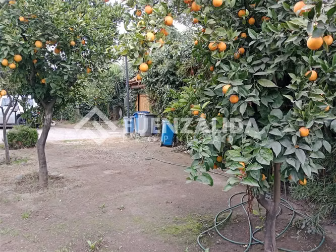 Casa en venta de 5 dorm. en La Florida