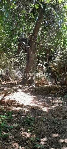 Sitio en venta, Lo Cañas, La Florida - Imagen 4
