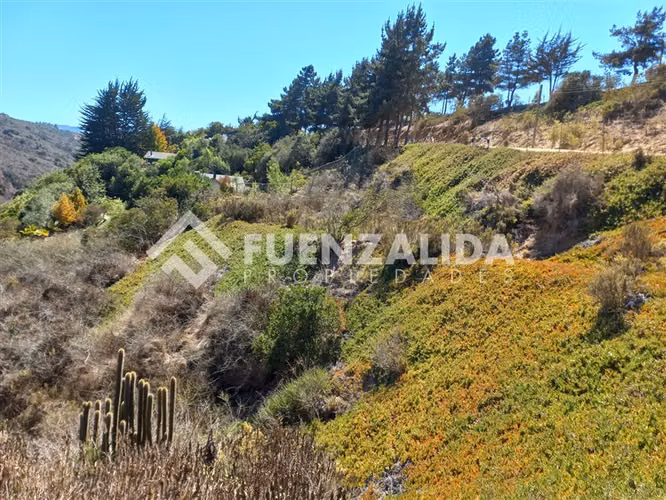 Sitio en venta Condominio Altavista, Laguna de Zapallar.