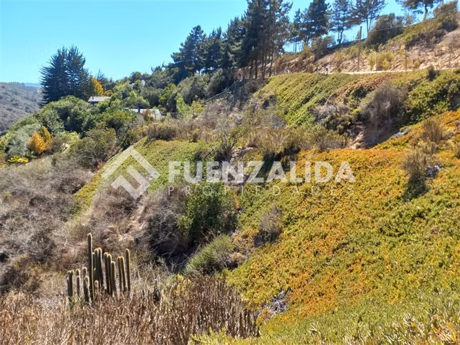 Sitio en venta Condominio Altavista, Laguna de Zapallar.