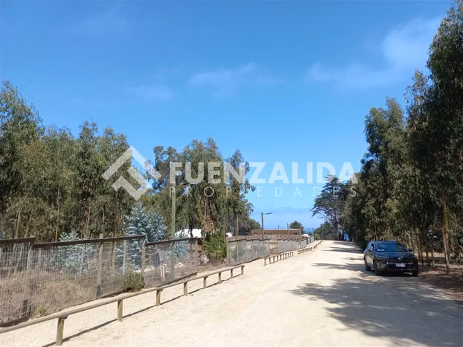 Sitio en venta Puchuncavi sector El Tebo, 1000 metros, luz.