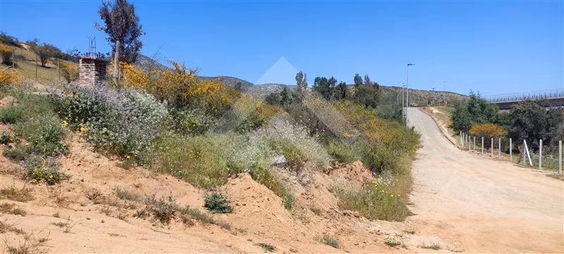 Parcela en venta en Villa Alemana - Imagen 4