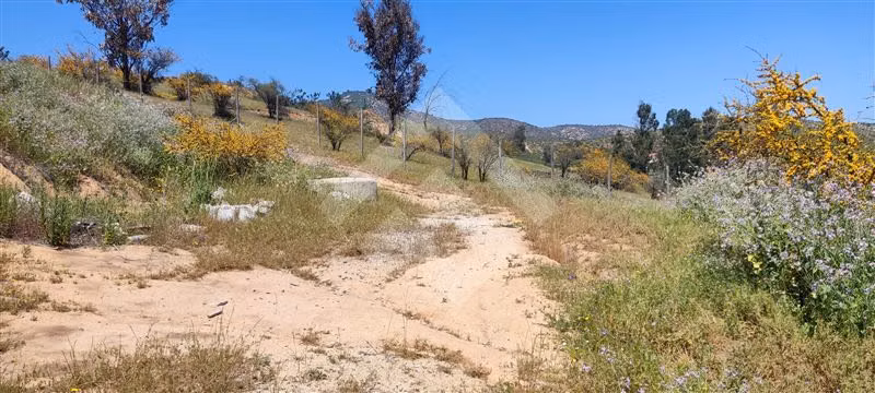 Parcela en venta en Villa Alemana - Imagen 5