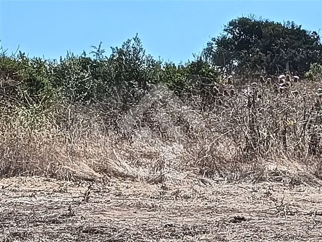 Terreno Construccion  en Venta en Quintero
