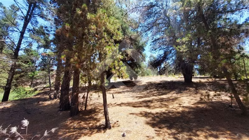 Parcela en venta en Quintero