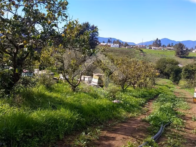 Parcela en venta en Puchuncaví