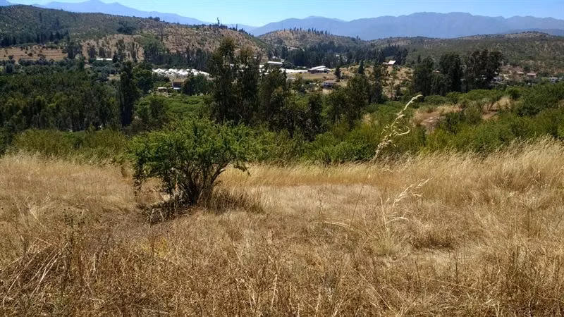 Parcela en venta en Villa Alemana