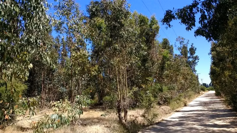 Parcela en venta en Villa Alemana