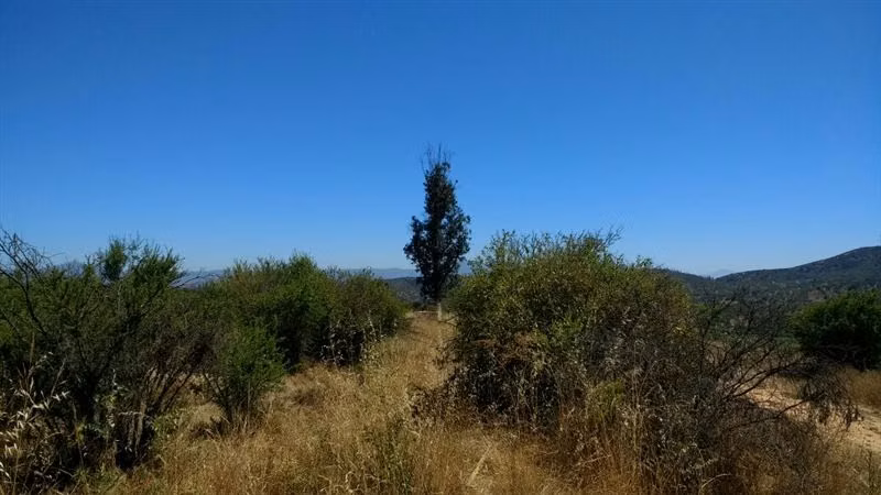 Parcela en venta en Villa Alemana