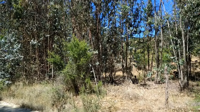 Parcela en venta en Villa Alemana