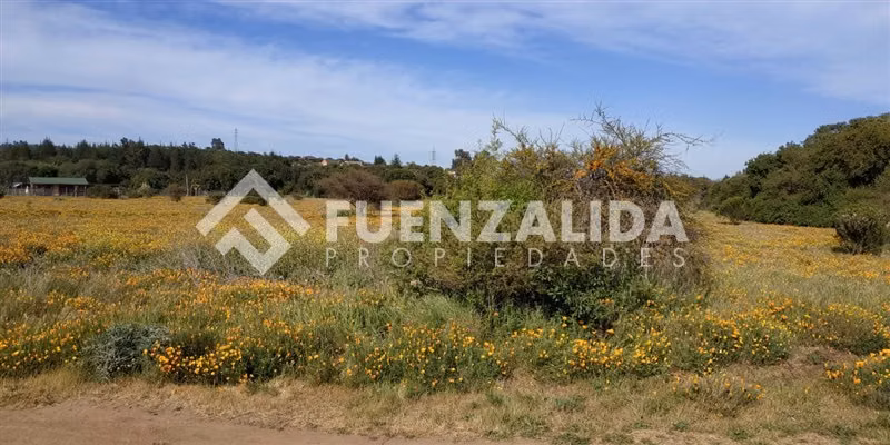Sitio en venta en Mantagua con pozo y tendido eléctrico