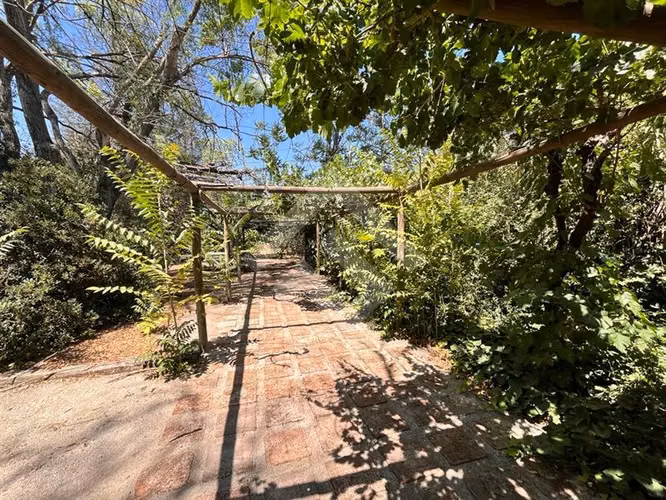 Parcela en venta en Colina - Imagen 12