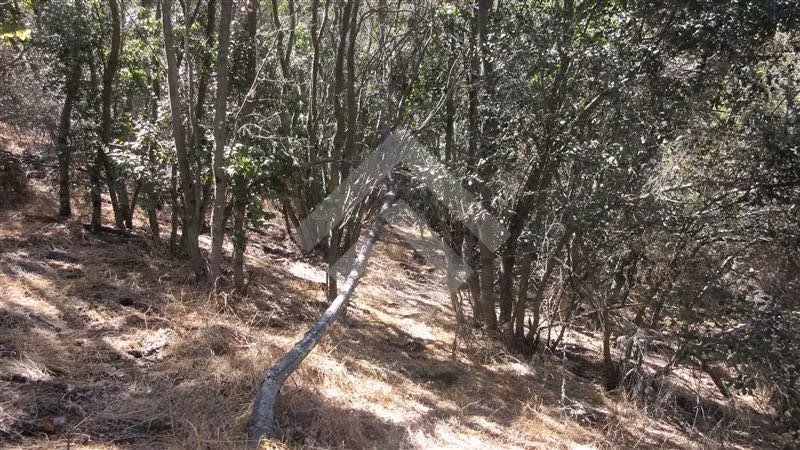 Parcela en venta en Curacaví