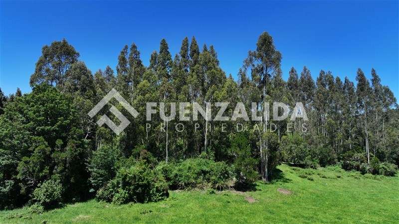Desde UF 2.800 - Imagen 11