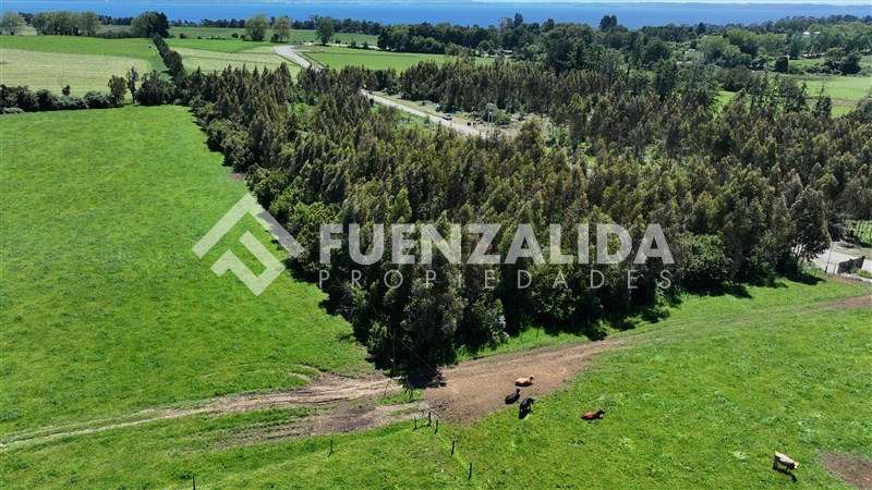Desde UF 2.800 - Imagen 13