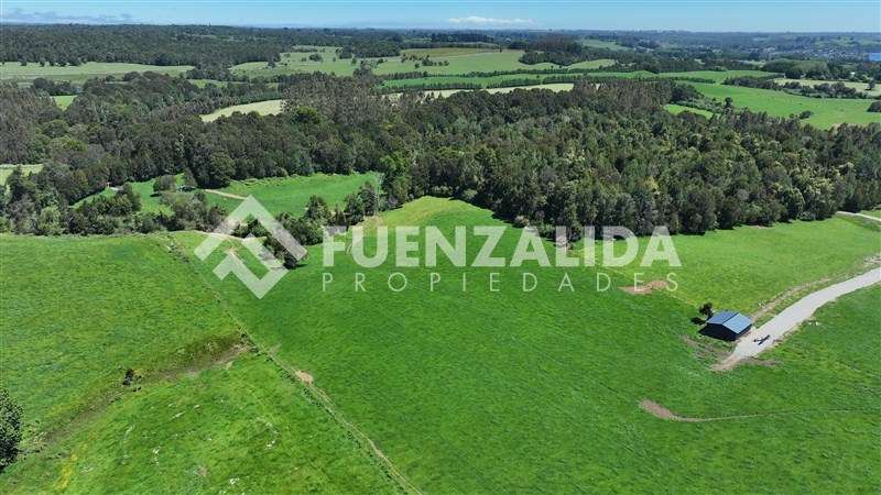Desde UF 2.800 - Imagen 19