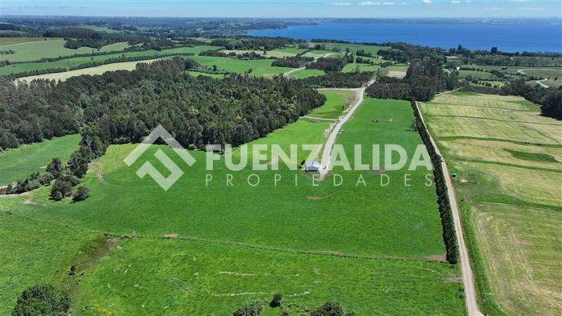 Desde UF 2.800 - Imagen 2