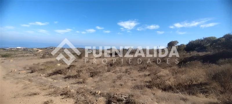 Condominio Rocas del Mar. Sitio 5.000 m2 Los Molles. - Imagen 47