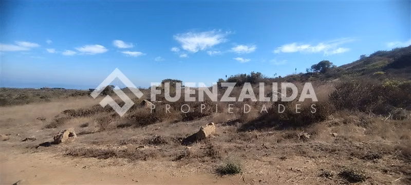 Condominio Rocas del Mar. Sitio 5.000 m2 Los Molles. - Imagen 40