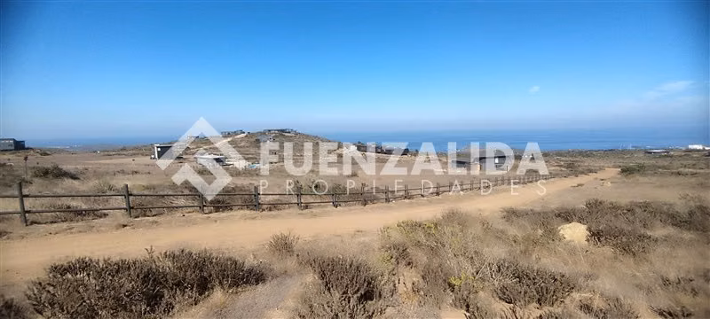 Condominio Rocas del Mar. Sitio 5.000 m2 Los Molles. - Imagen 43