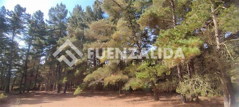 Casa 180 m2 - Terreno 11.200 m2 - Los Pinares de Algarrobo