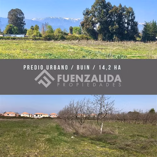 Sitio en venta en Buín - Imagen 1