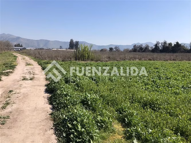 Sitio en venta en Buín - Imagen 9