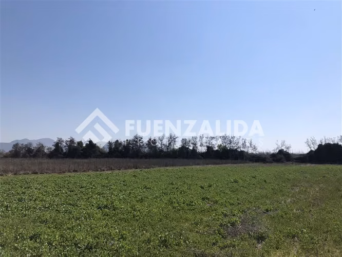 Sitio en venta en Buín - Imagen 11