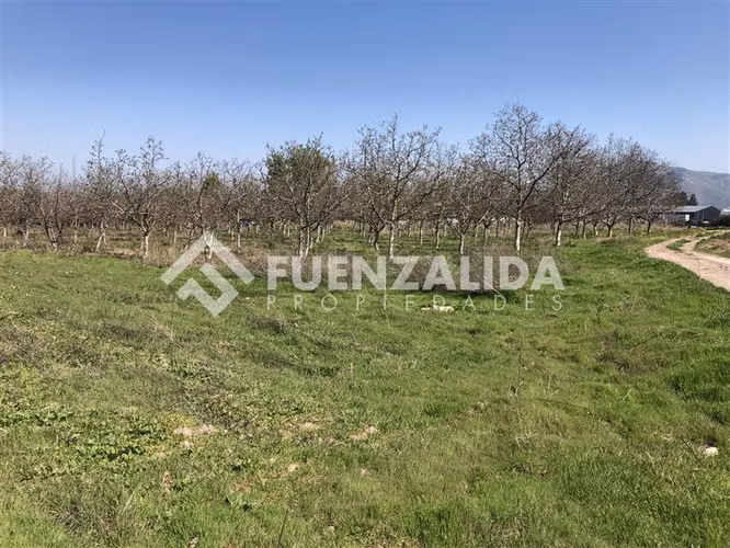 Sitio en venta en Buín - Imagen 14