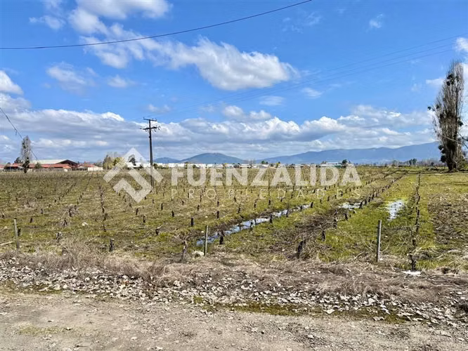 Sitio en venta en San Javier - Imagen 13