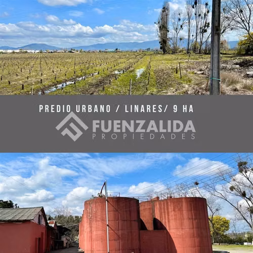 Sitio en venta en San Javier