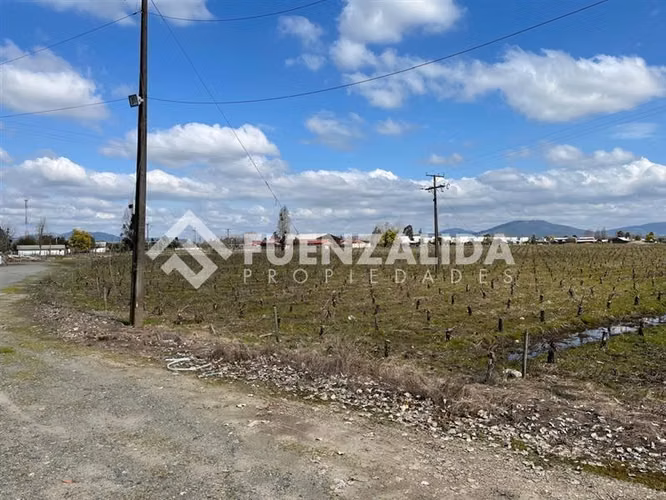 Sitio en venta en San Javier - Imagen 4