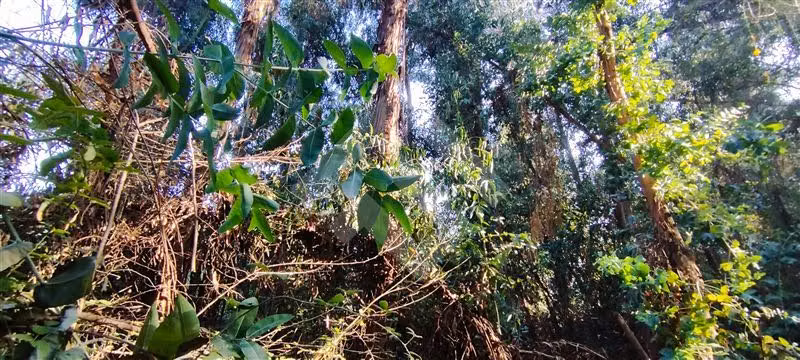 Terreno Construccion  en Venta en Puente Alto