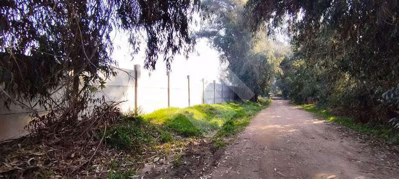 Terreno Construccion  en Venta en Puente Alto
