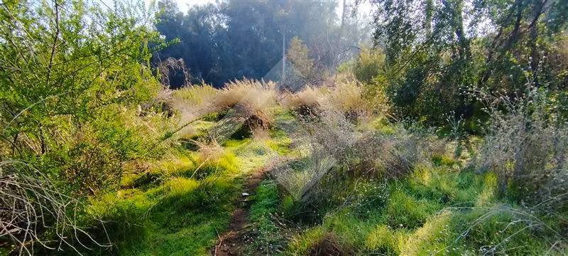 Terreno Construccion  en Venta en Puente Alto