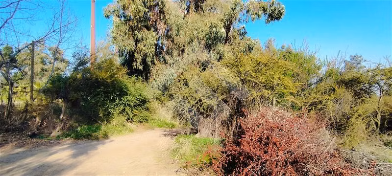 Sitio en Venta en Puente Alto - Imagen 17