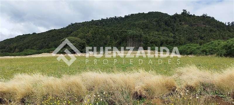Exclusiva Parcela - 5.000 mt2 - Ensenada - Puerto Varas - Imagen 2