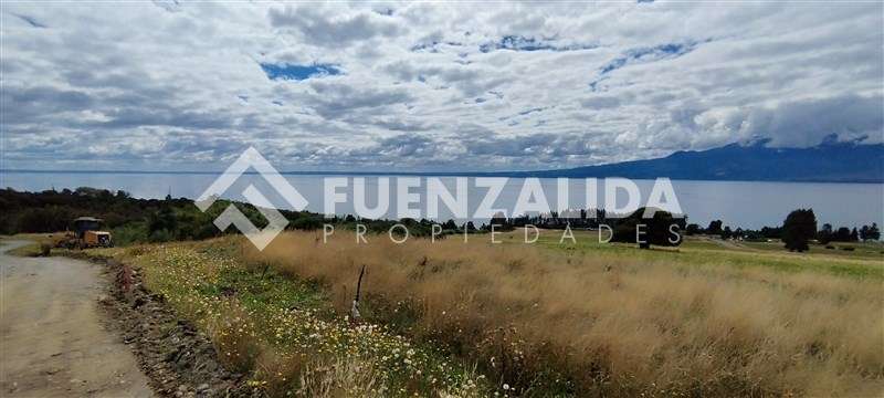 Exclusiva Parcela - 5.000 mt2 - Ensenada - Puerto Varas - Imagen 10
