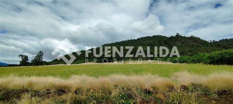 Exclusiva Parcela - 5.000 mt2 - Ensenada - Puerto Varas - Imagen 8