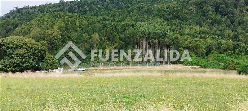 Exclusiva Parcela - 5.000 mt2 - Ensenada - Puerto Varas - Imagen 16
