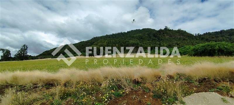 Exclusiva Parcela - 5.000 mt2 - Ensenada - Puerto Varas - Imagen 5