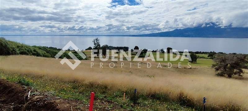 Exclusiva Parcela - 5.000 mt2 - Ensenada - Puerto Varas - Imagen 6