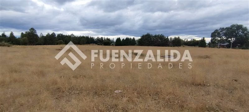 Parcelas 5000 m2 - Sector Cañitas, Rio Frio, Los Muermos - Imagen 22