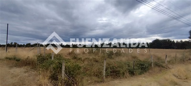 Parcelas 5000 m2 - Sector Cañitas, Rio Frio, Los Muermos - Imagen 16