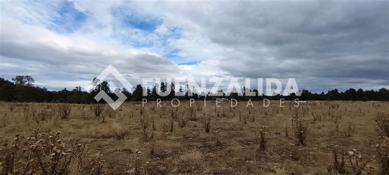 Parcelas 5000 m2 - Sector Cañitas, Rio Frio, Los Muermos - Imagen 21