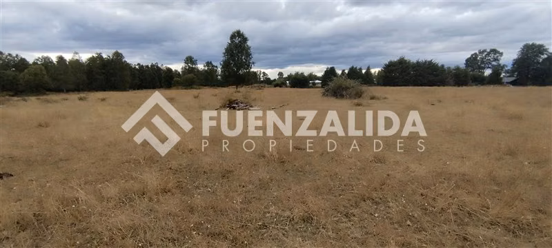Parcelas 5000 m2 - Sector Cañitas, Rio Frio, Los Muermos